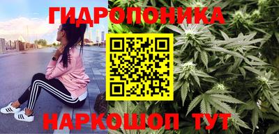 мяу мяу мука Пушкино