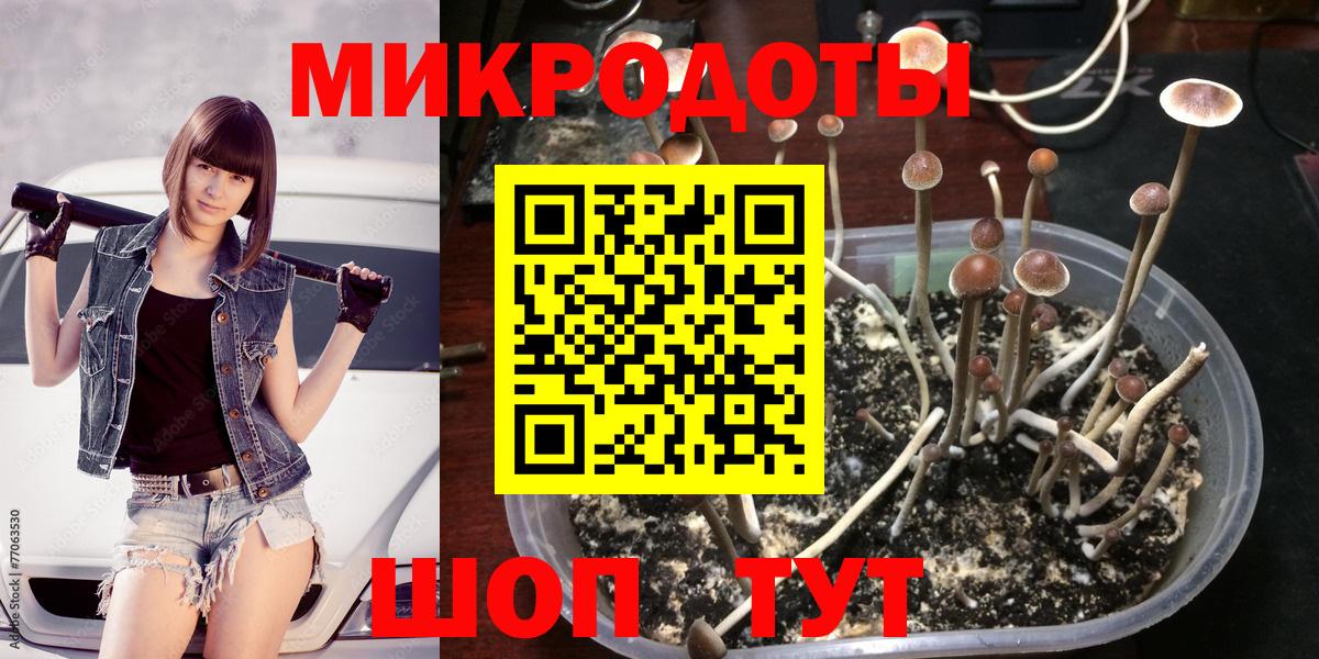 цены   Псилоцибиновые грибы Cubensis  Вход с VPN  Саратов 